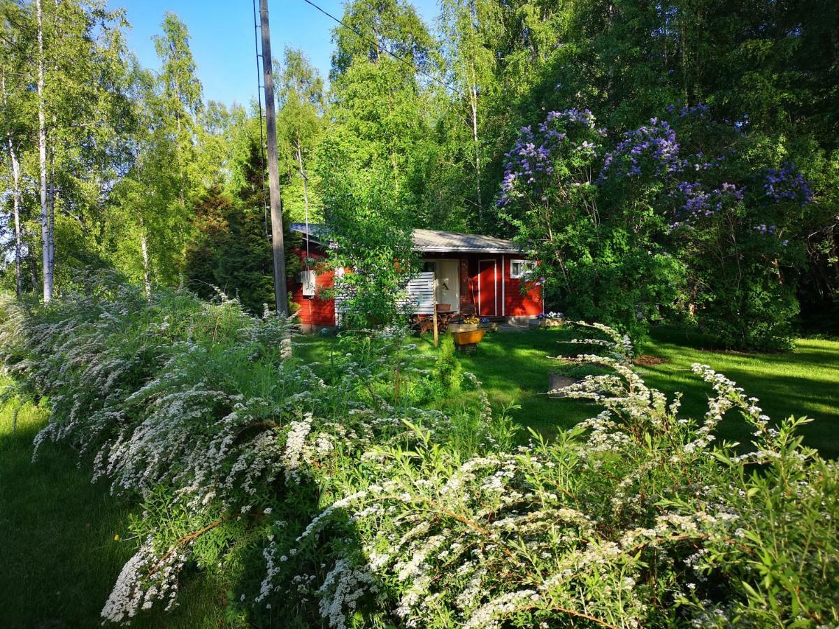 Koivuniemi Cottage Säkylä Zewnętrze zdjęcie