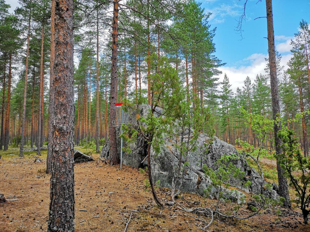 Koivuniemi Cottage Säkylä Zewnętrze zdjęcie