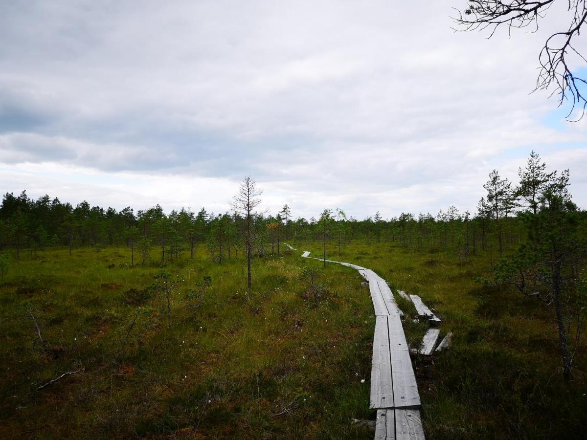 Koivuniemi Cottage Säkylä Zewnętrze zdjęcie