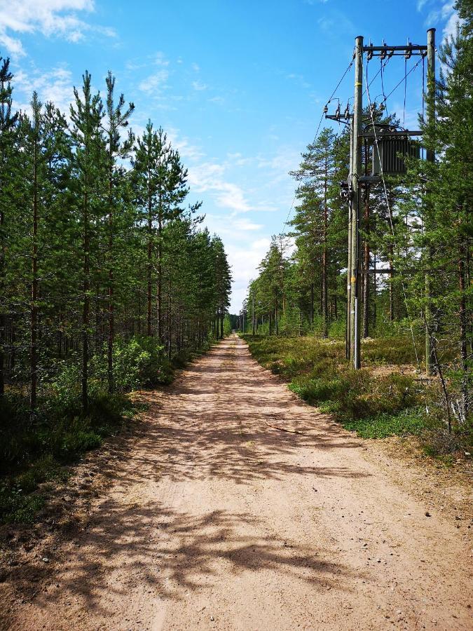 Koivuniemi Cottage Säkylä Zewnętrze zdjęcie